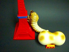 CIMG1141