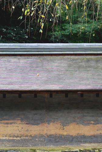 龍安寺庭園-8