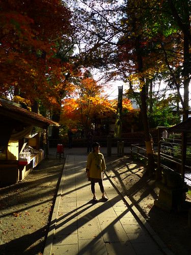 中尊寺・嶺薬師堂参道