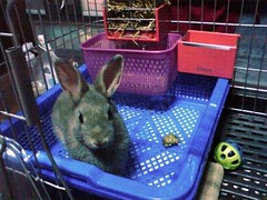 DSC00135.JPG