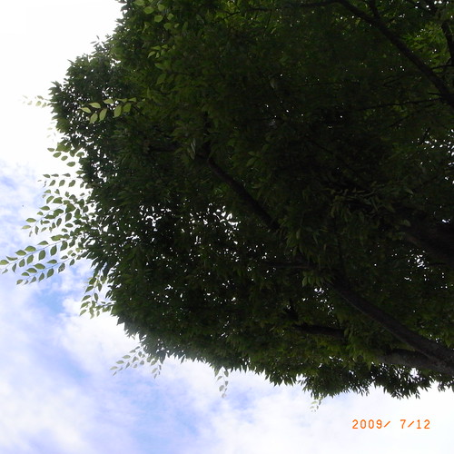 R0010468