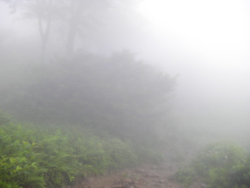 濃霧の登山道