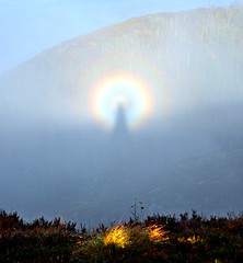 My shadow, my fog bow, my aura