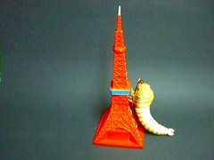 CIMG1133