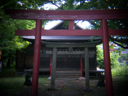 P1000771.jpg