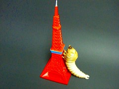CIMG1135