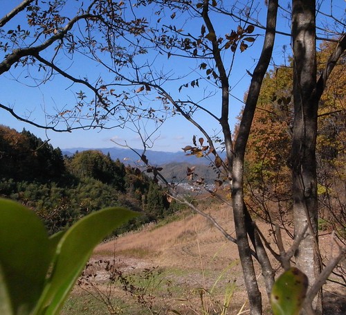 R0010768