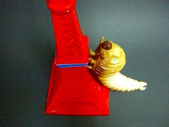 CIMG1136