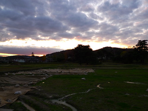 平泉・無量光院跡