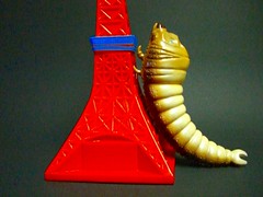 CIMG1134