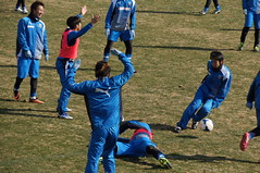 DSC03501 (1)