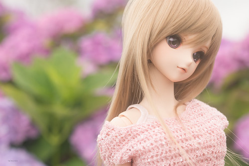 aoko02