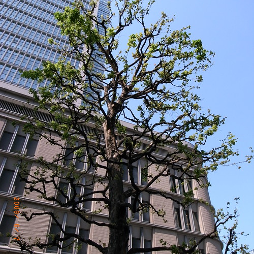 R0010220