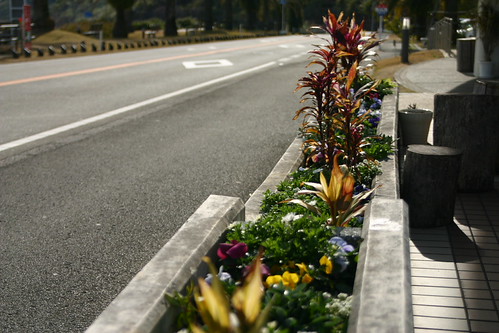 A parterre the road sideward