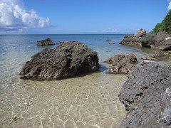 新城