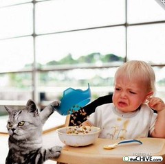 わたしたちが 注文したのってこれじゃないよね 一言韓国語 466 たのしい韓国語ライフ 日韓文化交流促進会