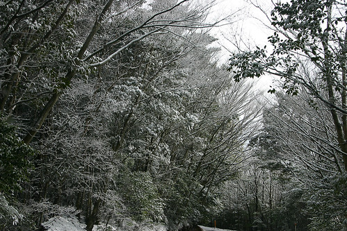 Snow scene of Miyazaki