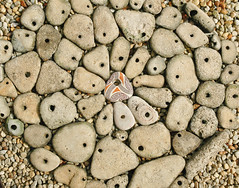 stones with holes 2