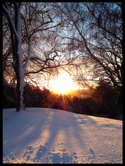 Sun & Snow