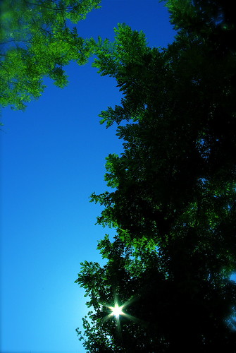 IMGP3565