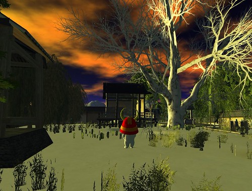 20090224_SENGOKU7