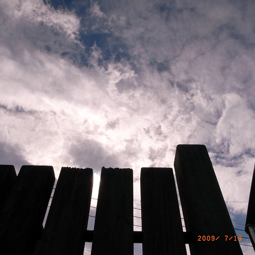 R0010509