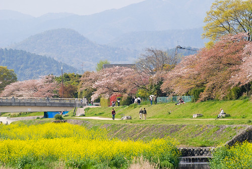 好像桌布噢~