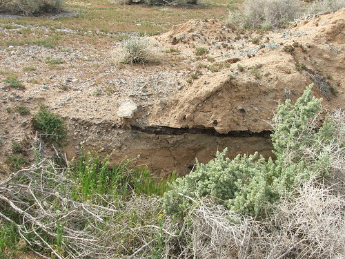 Localbizlists.com | !Local Business.