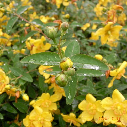 R0010072