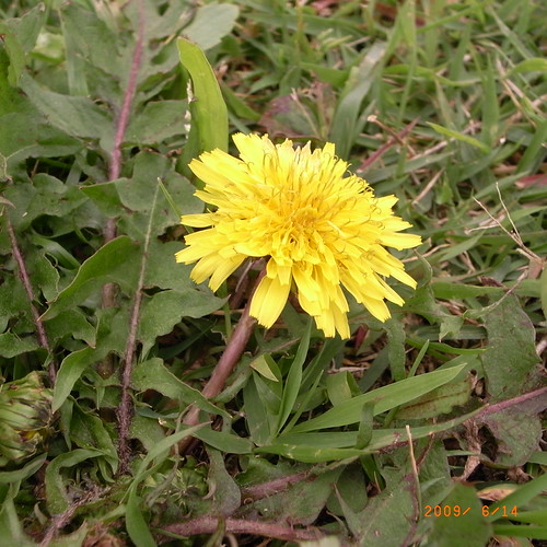 R0010294