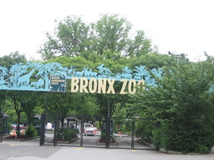 202