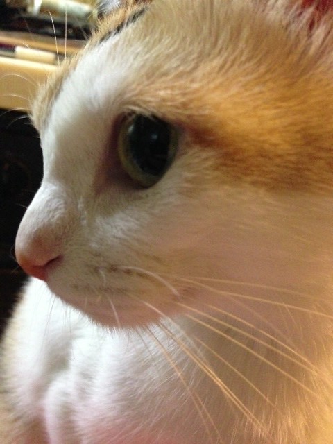 __.JPG by okakyon55, on Flickr __.JPG