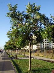 Puerto Madero @ Buenos Aires