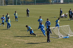 DSC02254 (1)