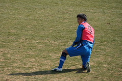 DSC03420 (1)