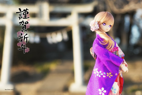 謹賀新年２０１４
