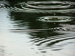 Rain drop reflection