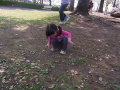 RIMG0023