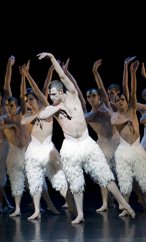 Swan Lake