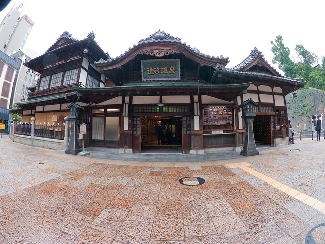 P1010676.jpg