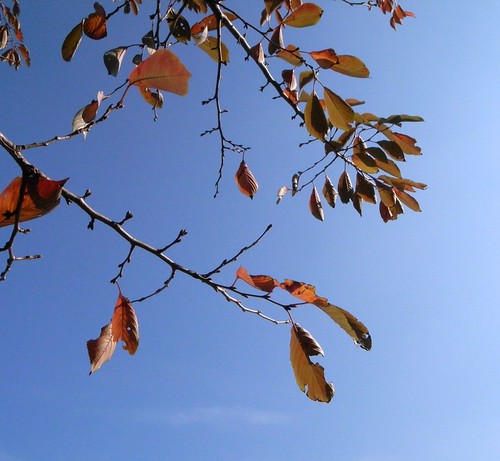 R0010715