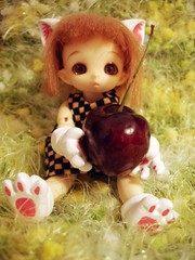 Choco