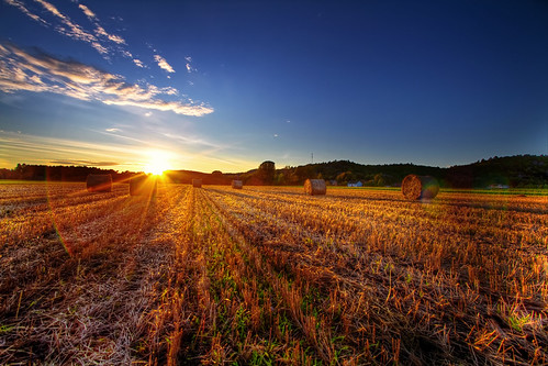 Farewell, Summer Sun
