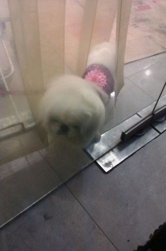 IMAG0063