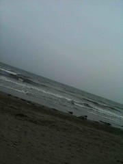 Camera Plus