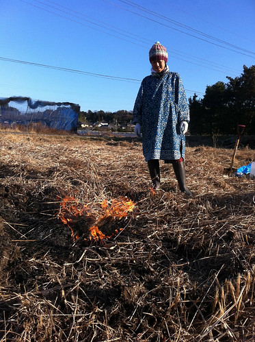 田んぼ野焼き