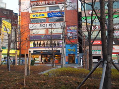 梨大 韓国