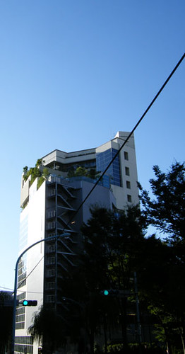cocoti top