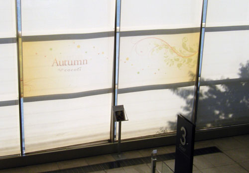 cocoti autum large