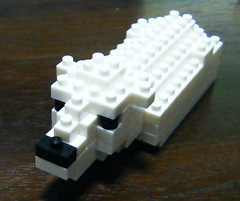 polar bear 6